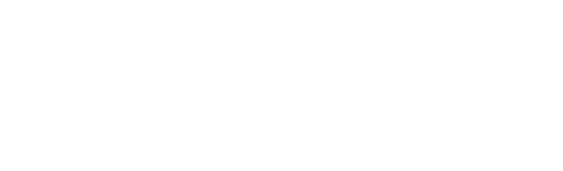 Nexun Logo